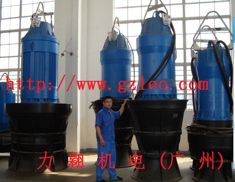 潛水混、軸流泵現(xiàn)場(chǎng)見(jiàn)證